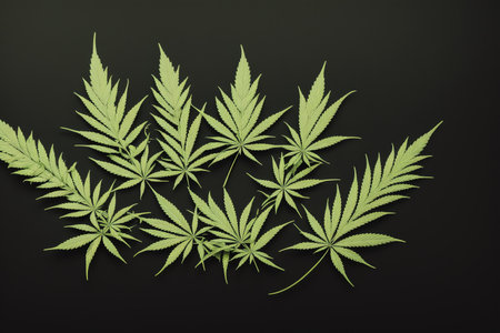 Cannabis leaf on black background. Top view. 3d illustrationの素材