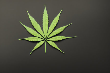 Cannabis leaf on black background, top view. Space for textの素材