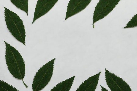 Green leaves on a white background with space for text. 3d renderingの素材