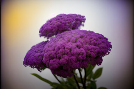 A Close Up Of A Bunch Of Purple Flowers. Generative AIの素材