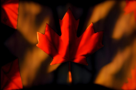 A Red Maple Leaf On A Black Background. Generative AIの素材