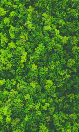 Top View Of Green Trees And Plants Jungle Forest. Generative AIの素材
