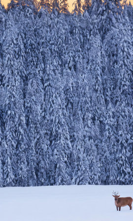 A Christmas Roast Beef, With A Snowy Forest In The Background, Captured At Twilight. Generative AIの素材