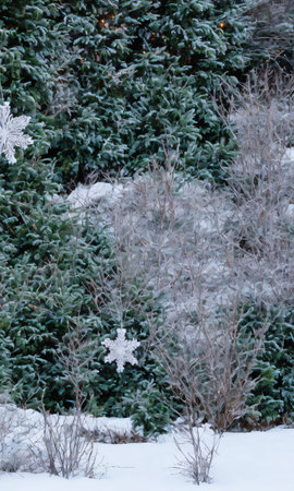 A Christmas Star Decoration In A Garden, The Snowy Landscape Illuminated By Moonlight. Generative AIの素材