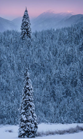 A Christmas Tree In A Snowy Valley, Surrounded By Mountains At Dawn. Generative AIの素材