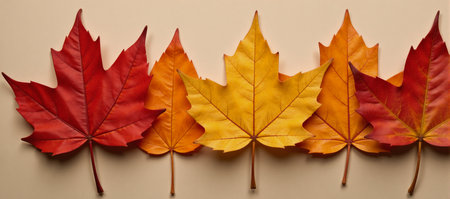 Illustrated image showcasing vibrant autumn foliage against an empty backdrop Isolated Autumn Leavesの素材