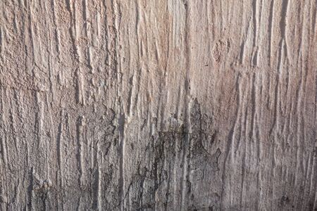 Grey concrete wall