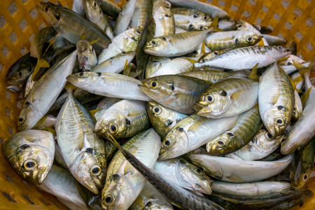 Fresh fishes in the yellow basket