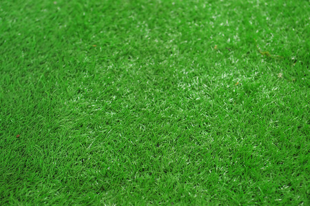 Grass backgroundの写真素材