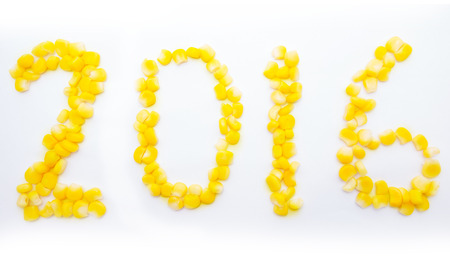 New year 2016 by corn seed arrangingの写真素材