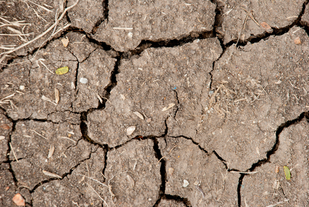 The broken soil texture on the ground  farmlandの写真素材
