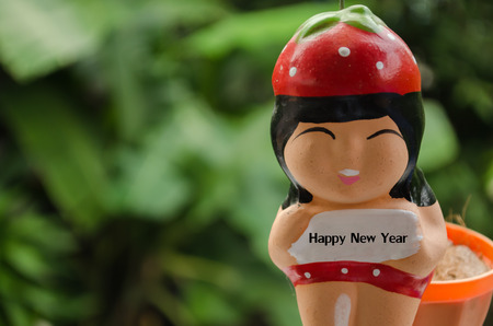 The happy new year background concept with cute dollの写真素材