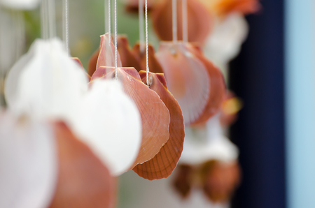 The seashells mobiles with colorful and the green backgroundの写真素材