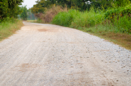 The gravel road with trees and green backgroundの写真素材