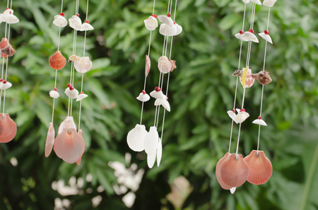 The seashells mobiles with colorful and the green background