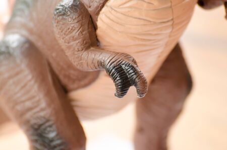 The hand close up of dinosaur made by plastic as a toyの写真素材