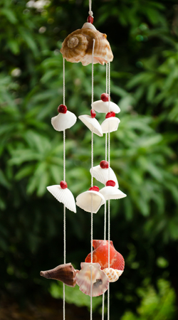 The seashells mobiles with colorful and the green backgroundの写真素材