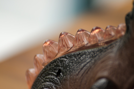 The back close up of dinosaur made by plastic as a toyの写真素材
