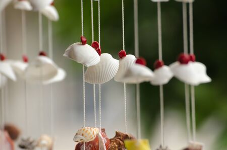 The seashells mobiles with colorful and the green backgroundの写真素材
