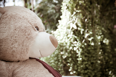 Alone thinking concept by bear doll sit on the seat in gardenの写真素材