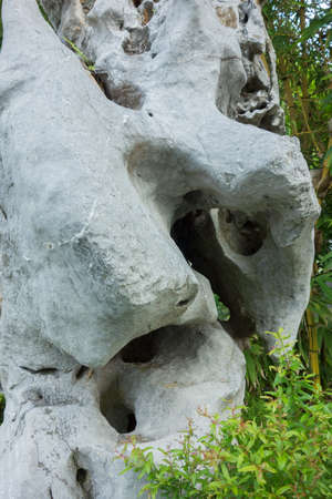 The gray stone in the green garden close upの写真素材