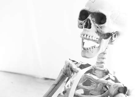 The black and white skullの写真素材