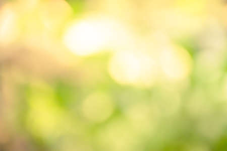 The green bokeh of tree and lake in the summerの写真素材