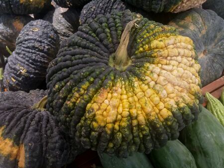 The closed up of Japan pumkin in supermarketの写真素材