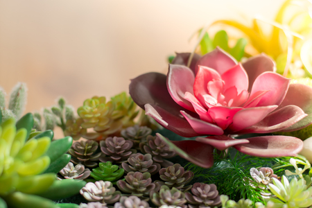 The close up of artificial flower garden with sunlight and flowerの写真素材