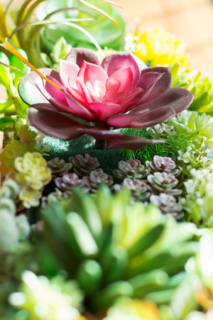 The close up of artificial flower garden with sunlight and flowerの写真素材