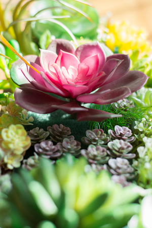 The close up of artificial flower garden with sunlight and flowerの写真素材