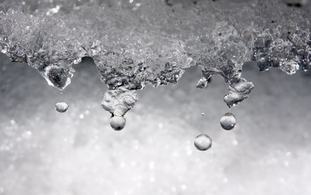 Melting Snow.の写真素材