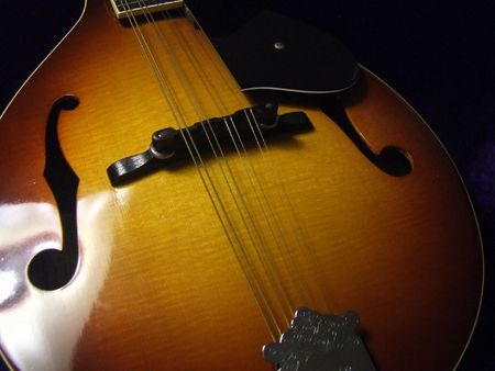 laquerred wood eight stringed mandolin bridge closeup