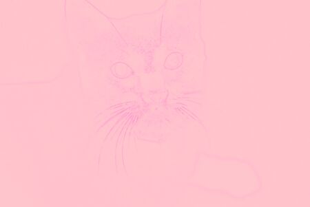 faint image of cat outline on background illustrationの写真素材