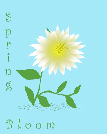  white Dalia  flower with yellow center illustrationの写真素材