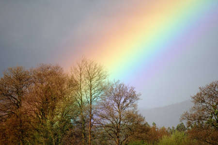 The place where the rainbow rises
