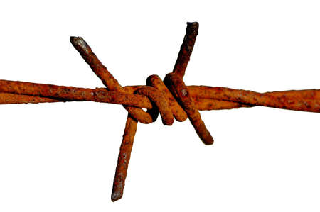 Barb wire isolated on whiteの写真素材