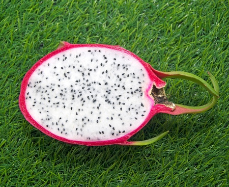 Half of vivid Dragon fruitの写真素材