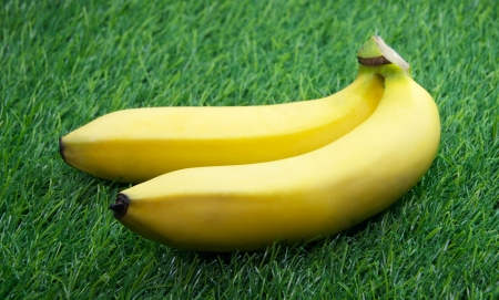 Two ripe yellow bananasの写真素材