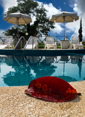 Red autumn leaf against the swimming poolの写真素材