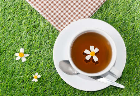 Ð¡up of chamomile tea on green grassの写真素材