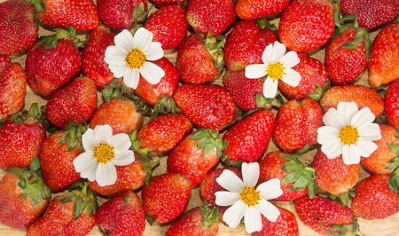 red strawberries and white flowers on cutting boardの写真素材