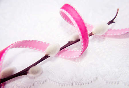 Branch of willow with vibrant ribbon on white laceの写真素材