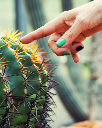 Woman finger with green nail polish touching cactus thorn. Color, fashion conceptの写真素材