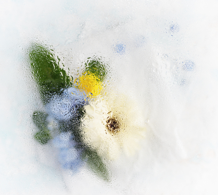 Summer bouquet behind wet glass. Focus on drops of water. Watering flowers concept. Text spaceの写真素材