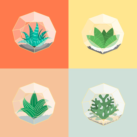 4 Flat succulent set in creative geometric gold and glass greenhouses, cactus clear pot. Interior design conceptのイラスト素材