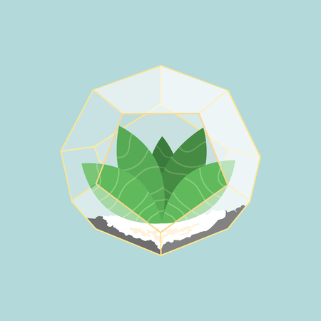 Flat Blue green cactus in creative geometric gold and glass greenhouse, succulent clear pot. Interior design conceptのイラスト素材