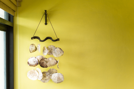 Flat bali seashells decoration on yellow wall. Natural light. Home interior conceptの写真素材