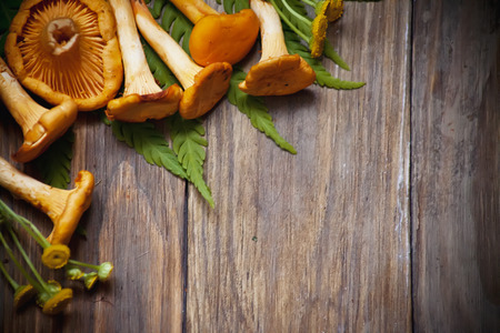 Autumn background with chanterelles in wooden rustic tableの写真素材