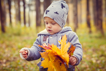 Little boy with autumn leaves in magic forestの写真素材